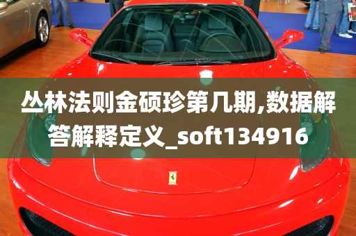 丛林法则金硕珍第几期,数据解答解释定义_soft134916