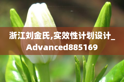 浙江刘金氏,实效性计划设计_Advanced885169