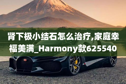 肾下极小结石怎么治疗,家庭幸福美满_Harmony款625540