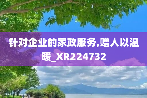 针对企业的家政服务,赠人以温暖_XR224732