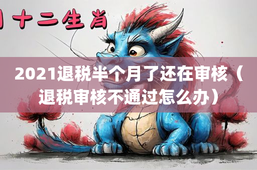 2021退税半个月了还在审核（退税审核不通过怎么办）