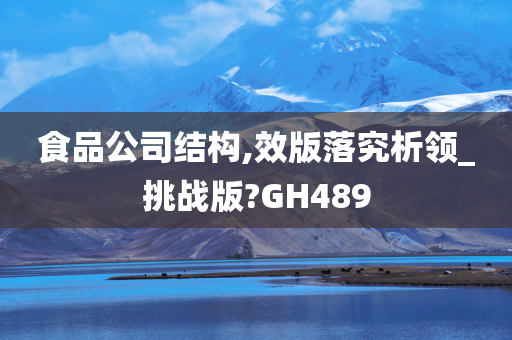 食品公司结构,效版落究析领_挑战版?GH489