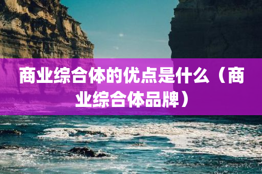 商业综合体的优点是什么（商业综合体品牌）