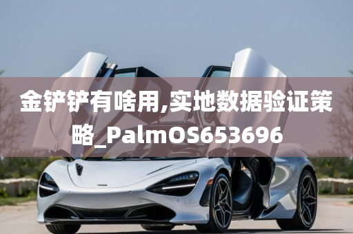 金铲铲有啥用,实地数据验证策略_PalmOS653696