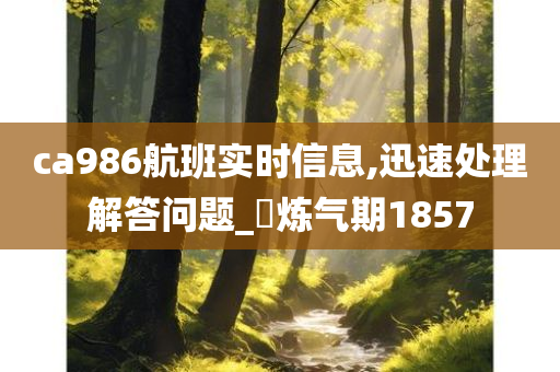 ca986航班实时信息,迅速处理解答问题_‌炼气期1857