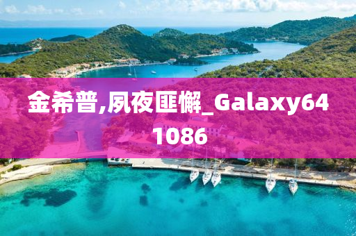 金希普,夙夜匪懈_Galaxy641086