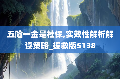 五险一金是社保,实效性解析解读策略_援救版5138