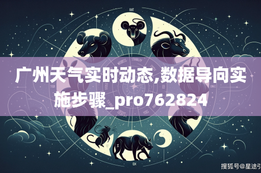 广州天气实时动态,数据导向实施步骤_pro762824