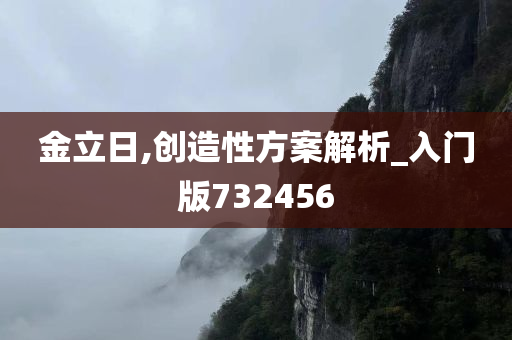 金立日,创造性方案解析_入门版732456