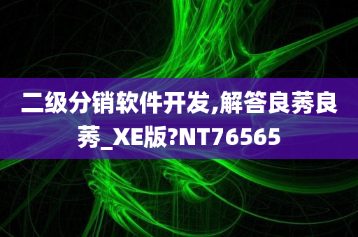 二级分销软件开发,解答良莠良莠_XE版?NT76565