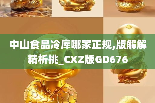 中山食品冷库哪家正规,版解解精析挑_CXZ版GD676