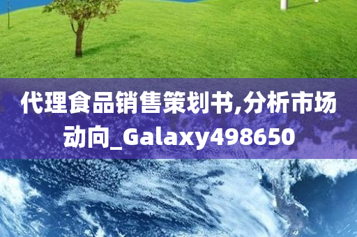 代理食品销售策划书,分析市场动向_Galaxy498650