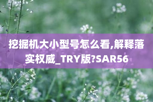 挖掘机大小型号怎么看,解释落实权威_TRY版?SAR56