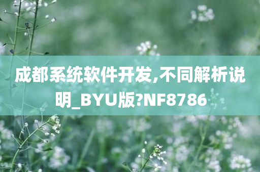 成都系统软件开发,不同解析说明_BYU版?NF8786