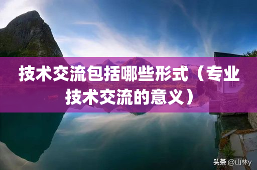 技术交流包括哪些形式（专业技术交流的意义）