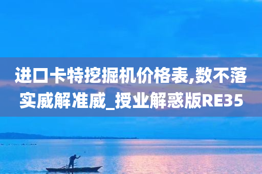 进口卡特挖掘机价格表,数不落实威解准威_授业解惑版RE35