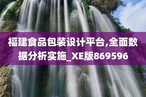 福建食品包装设计平台,全面数据分析实施_XE版869596