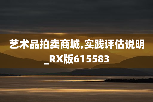 艺术品拍卖商城,实践评估说明_RX版615583