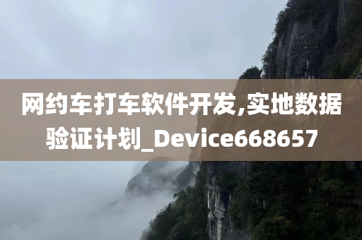 网约车打车软件开发,实地数据验证计划_Device668657