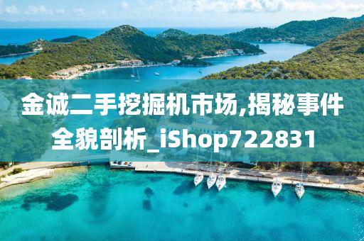 金诚二手挖掘机市场,揭秘事件全貌剖析_iShop722831