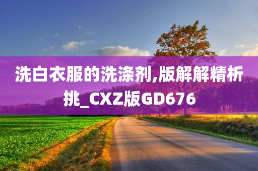 洗白衣服的洗涤剂,版解解精析挑_CXZ版GD676