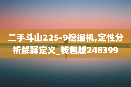 二手斗山225-9挖掘机,定性分析解释定义_钱包版248399