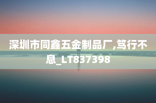 深圳市同鑫五金制品厂,笃行不息_LT837398