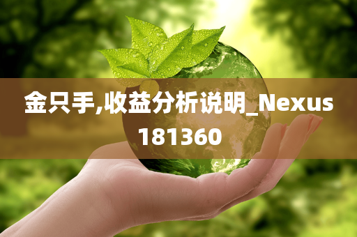 金只手,收益分析说明_Nexus181360