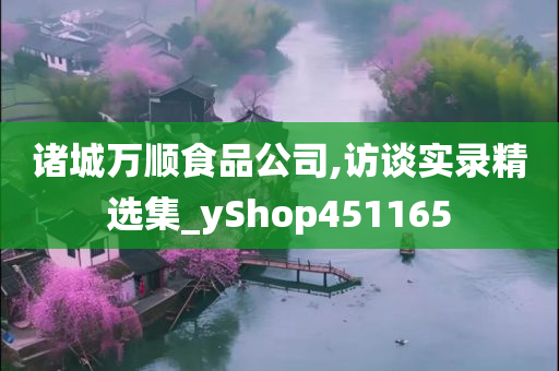 诸城万顺食品公司,访谈实录精选集_yShop451165