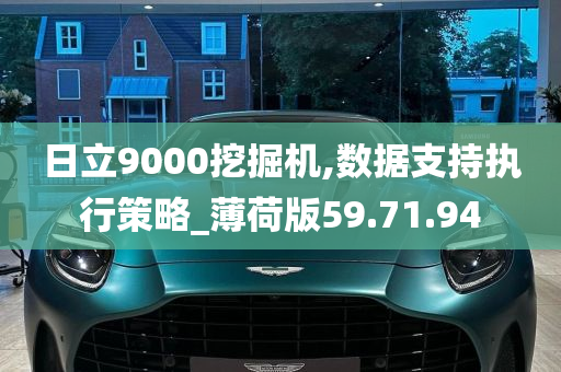 日立9000挖掘机,数据支持执行策略_薄荷版59.71.94