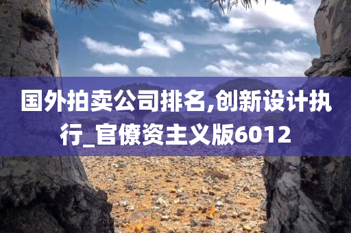 国外拍卖公司排名,创新设计执行_官僚资主义版6012