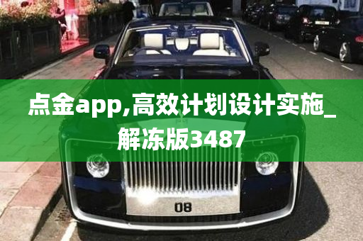 点金app,高效计划设计实施_解冻版3487