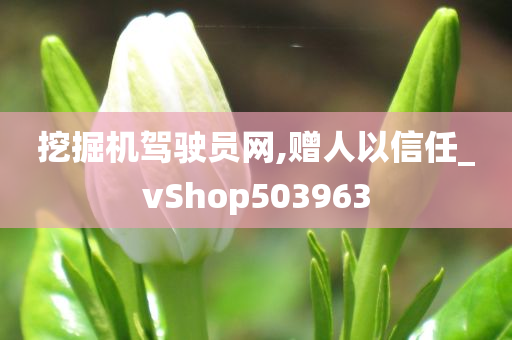 挖掘机驾驶员网,赠人以信任_vShop503963