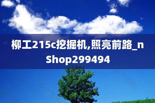 柳工215c挖掘机,照亮前路_nShop299494