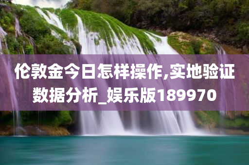 伦敦金今日怎样操作,实地验证数据分析_娱乐版189970