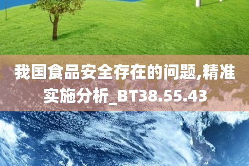 我国食品安全存在的问题,精准实施分析_BT38.55.43