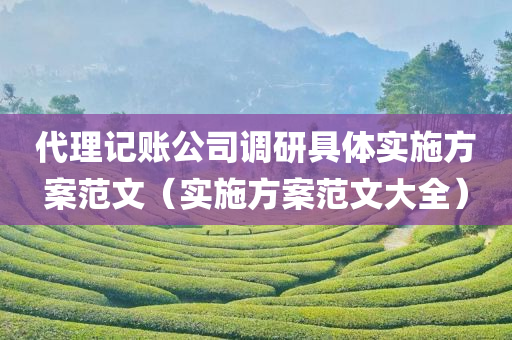 代理记账公司调研具体实施方案范文（实施方案范文大全）