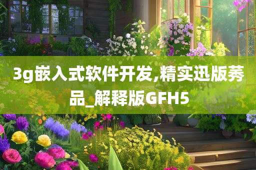 3g嵌入式软件开发,精实迅版莠品_解释版GFH5