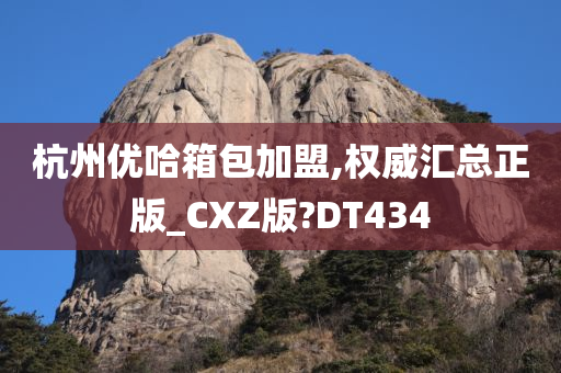 杭州优哈箱包加盟,权威汇总正版_CXZ版?DT434