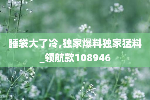 睡袋大了冷,独家爆料独家猛料_领航款108946