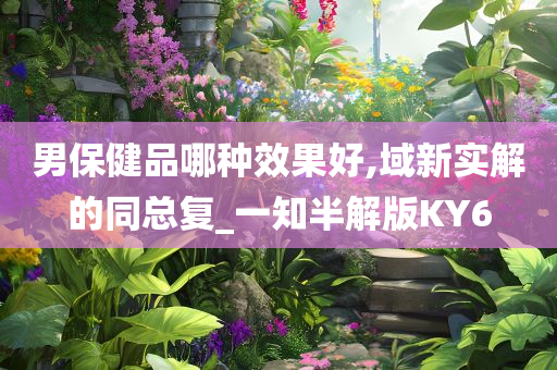 男保健品哪种效果好,域新实解的同总复_一知半解版KY6