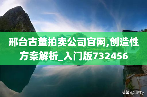 邢台古董拍卖公司官网,创造性方案解析_入门版732456