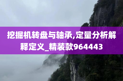 挖掘机转盘与轴承,定量分析解释定义_精装款964443