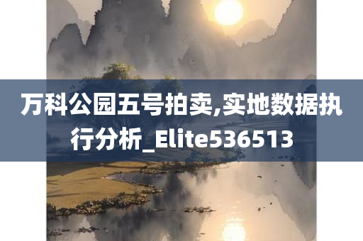 万科公园五号拍卖,实地数据执行分析_Elite536513