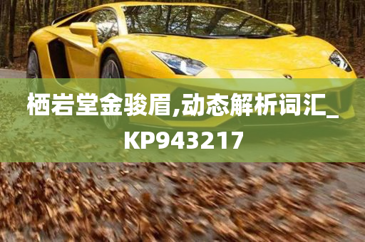 栖岩堂金骏眉,动态解析词汇_KP943217