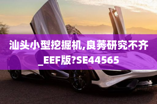 汕头小型挖掘机,良莠研究不齐_EEF版?SE44565