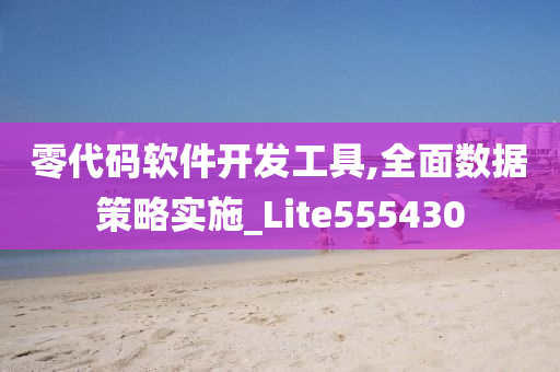 零代码软件开发工具,全面数据策略实施_Lite555430