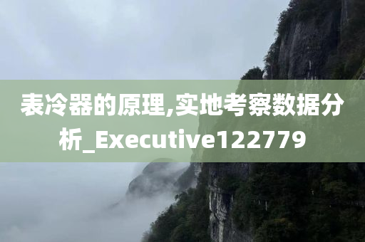 表冷器的原理,实地考察数据分析_Executive122779