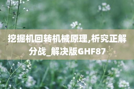 挖掘机回转机械原理,析究正解分战_解决版GHF87