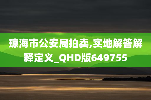 琼海市公安局拍卖,实地解答解释定义_QHD版649755